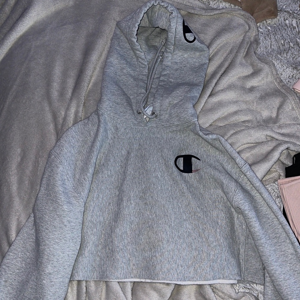 Champion cropped sweater